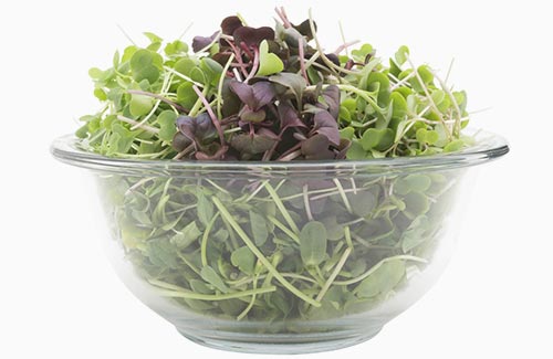 Original Super Salad | Mixed greens sunflower shoots pea greens kale arugula